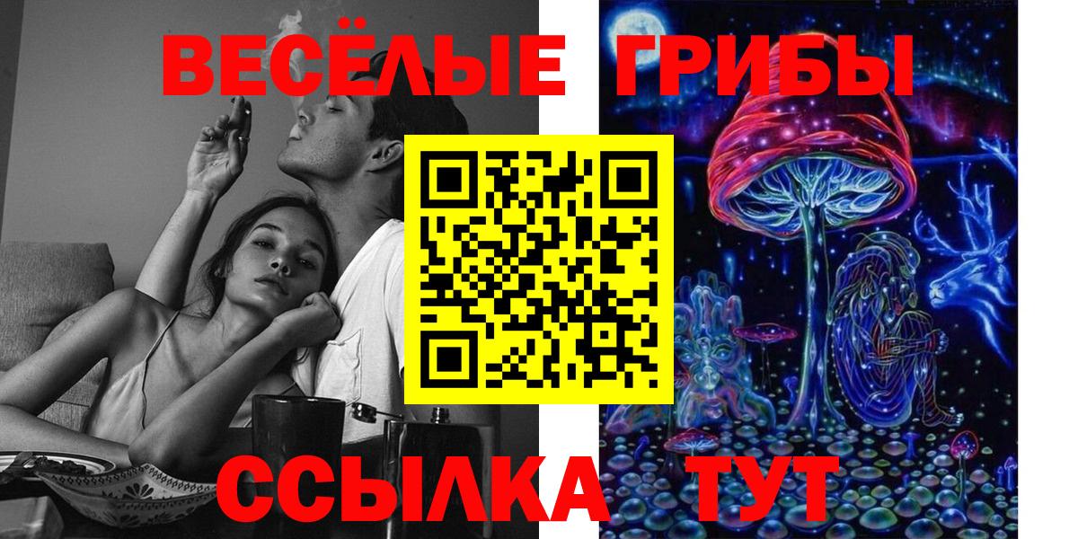 Псилоцибиновые грибы MAGIC MUSHROOMS Гурьевск